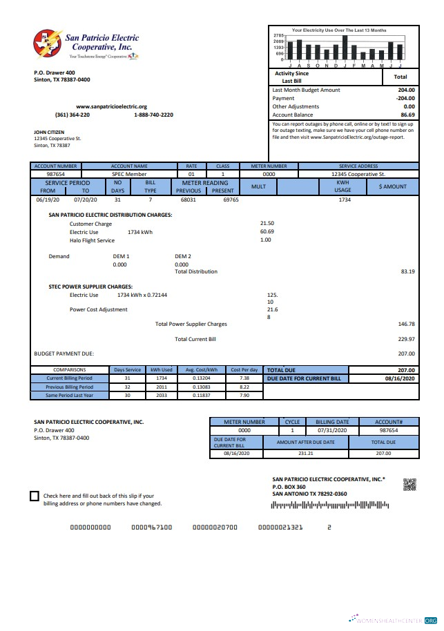 USA Texas San Patricio Electric Corporative utility bill template in Word and PDF (.doc and .pdf) format